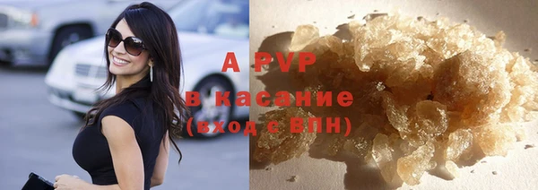 ПСИЛОЦИБИНОВЫЕ ГРИБЫ Вязьма