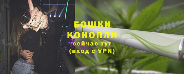 ПСИЛОЦИБИНОВЫЕ ГРИБЫ Вязьма