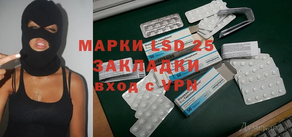 ПСИЛОЦИБИНОВЫЕ ГРИБЫ Вязьма