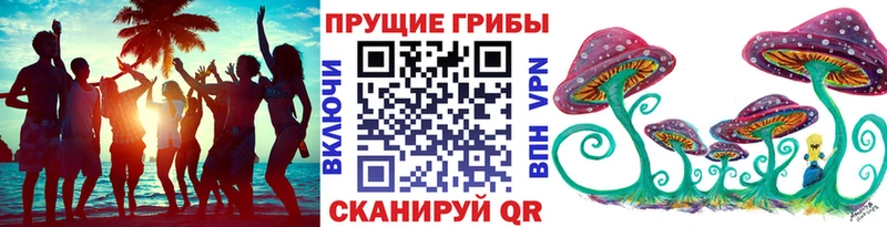 Галлюциногенные грибы Cubensis Боготол