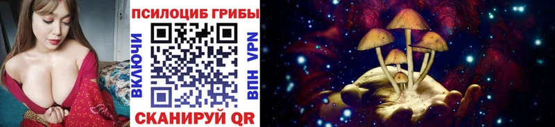 Купить закладки  Боготол  Галлюциногенные грибы мухоморы 